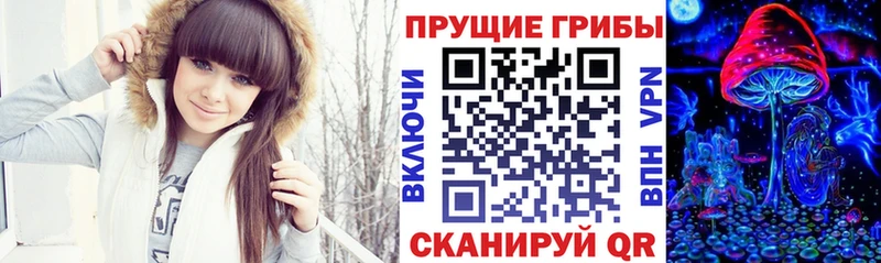 Купить  Прокопьевск  Псилоцибиновые грибы MAGIC MUSHROOMS 